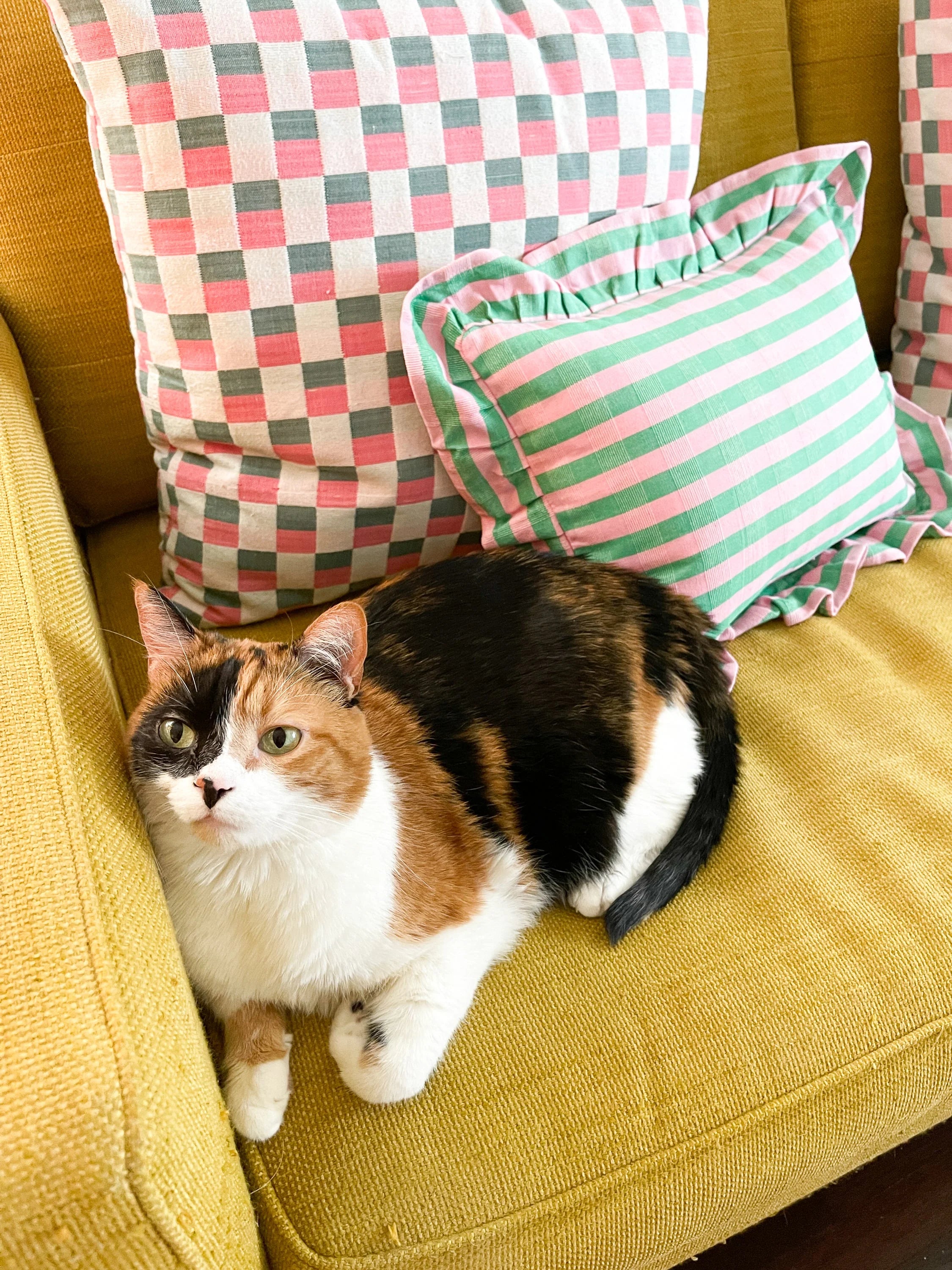 NY Stripe Ruffle Pillow